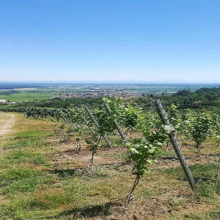 Apartmán In Near Vineyards Dambach