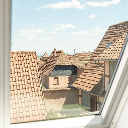 In Near Vineyards * Dambach