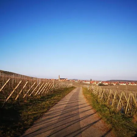 In Near Vineyards Apartmán