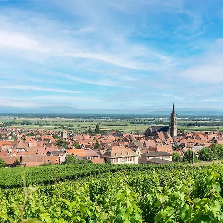 In Near Vineyards Dambach